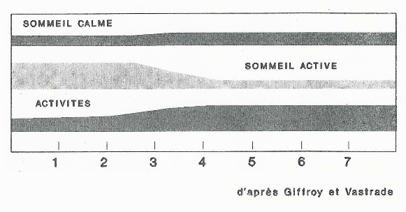 comportement veille sommeil du chiot